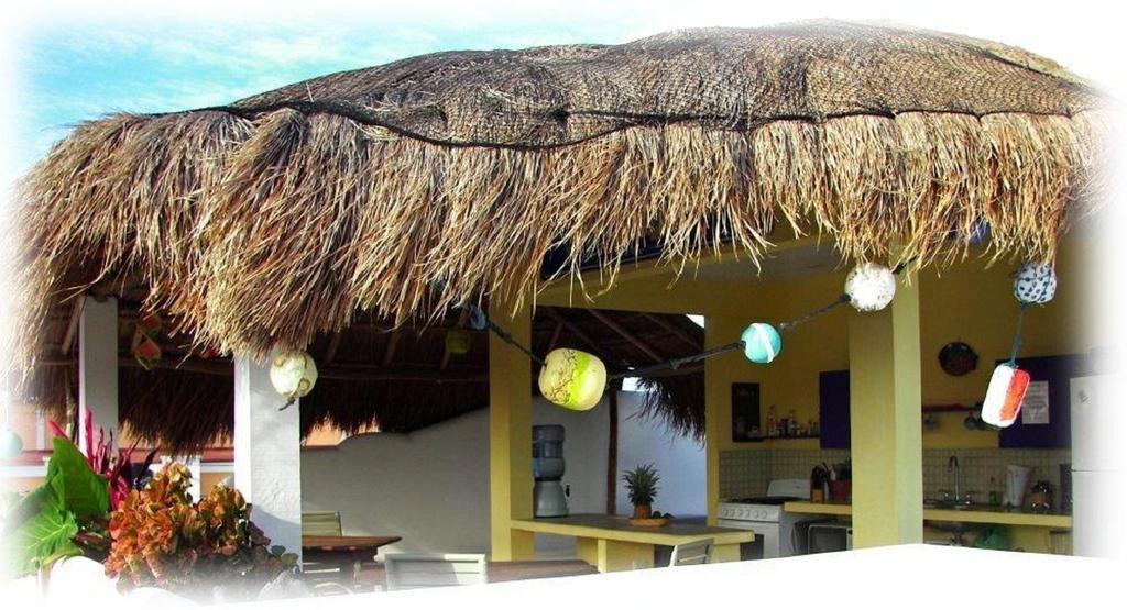 Coral Reef Inn Cozumel Kültér fotó